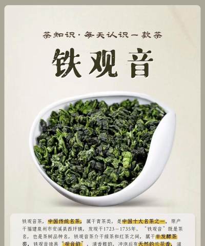 家里阳光不足怎么养花，选对植物种类，掌握养护技巧