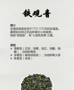 家里阳光不足怎么养花，选对植物种类，掌握养护技巧