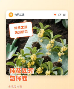 家里阳光不足怎么养花，选对植物种类，掌握养护技巧