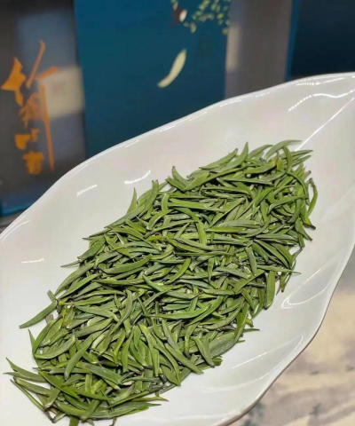 家里阳光不足怎么养花，选对植物种类，掌握养护技巧