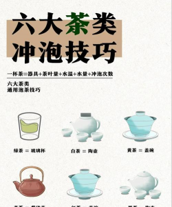 家里阳光不足怎么养花，选对植物种类，掌握养护技巧