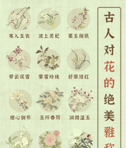家里阳光不足怎么养花，选对植物种类，掌握养护技巧