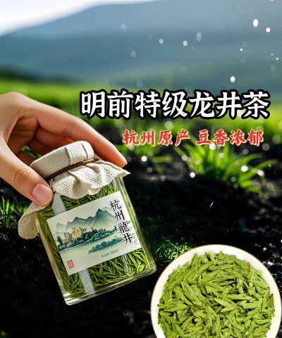 家里阳光不足怎么养花，选对植物种类，掌握养护技巧