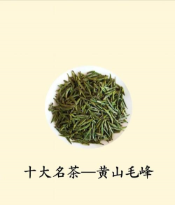 家里阳光不足怎么养花，选对植物种类，掌握养护技巧