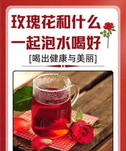 家里阳光不足怎么养花，选对植物种类，掌握养护技巧