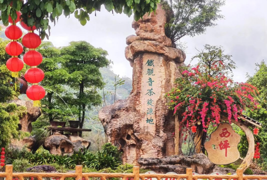 家里阳光不足怎么养花，选对植物种类，掌握养护技巧