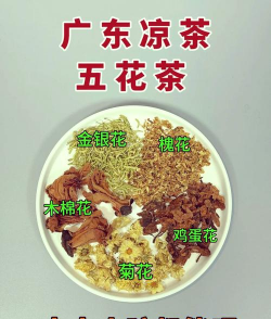 家里阳光不足怎么养花，选对植物种类，掌握养护技巧