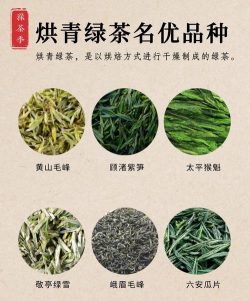 家里阳光不足怎么养花，选对植物种类，掌握养护技巧