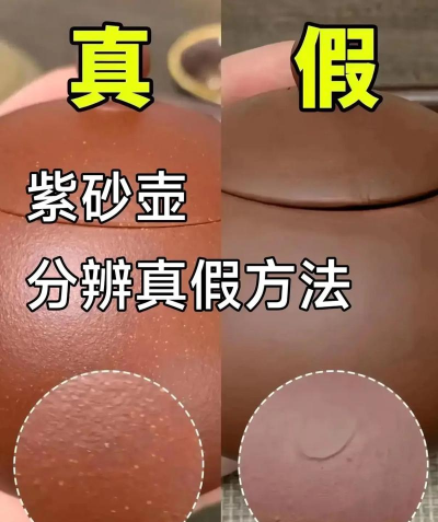 家里阳光不足怎么养花，选对植物种类，掌握养护技巧