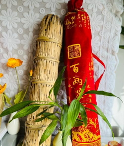 家里阳光不足怎么养花，选对植物种类，掌握养护技巧