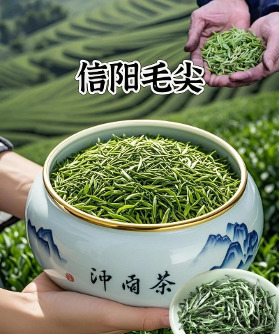 家里阳光不足怎么养花，选对植物种类，掌握养护技巧