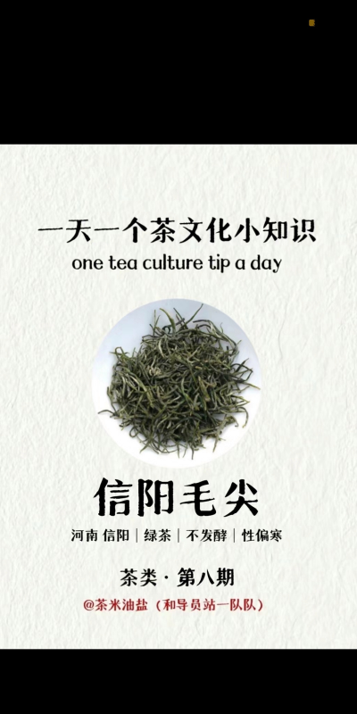 家里阳光不足怎么养花，选对植物种类，掌握养护技巧