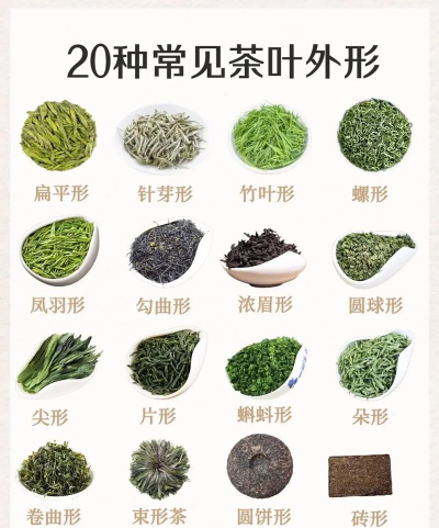 家里阳光不足怎么养花，选对植物种类，掌握养护技巧