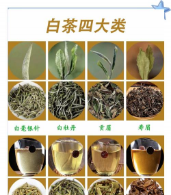 家里阳光不足怎么养花，选对植物种类，掌握养护技巧