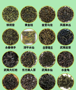 家里阳光不足怎么养花，选对植物种类，掌握养护技巧