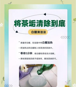 家里阳光不足怎么养花，选对植物种类，掌握养护技巧