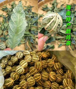 家里阳光不足怎么养花，选对植物种类，掌握养护技巧