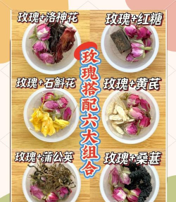 家里阳光不足怎么养花，选对植物种类，掌握养护技巧