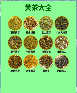 家里阳光不足怎么养花，选对植物种类，掌握养护技巧