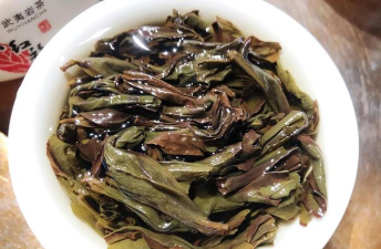 家里阳光不足怎么养花，选对植物种类，掌握养护技巧