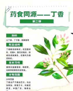 家里阳光不足怎么养花，选对植物种类，掌握养护技巧