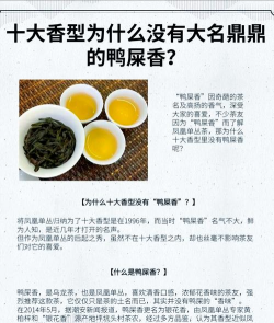 家里阳光不足怎么养花，选对植物种类，掌握养护技巧