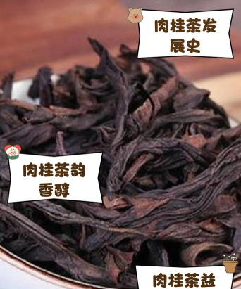 家里阳光不足怎么养花，选对植物种类，掌握养护技巧