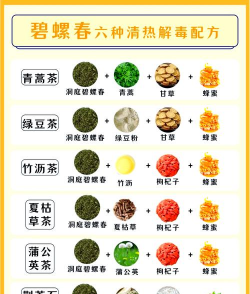 家里阳光不足怎么养花，选对植物种类，掌握养护技巧