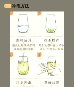 家里阳光不足怎么养花，选对植物种类，掌握养护技巧