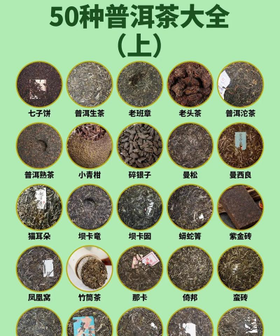 家里阳光不足怎么养花，选对植物种类，掌握养护技巧