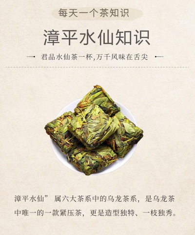 家里阳光不足怎么养花，选对植物种类，掌握养护技巧