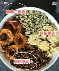 家里阳光不足怎么养花，选对植物种类，掌握养护技巧