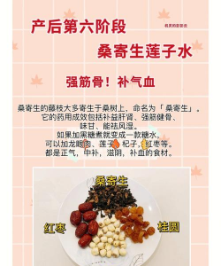 家里阳光不足怎么养花，选对植物种类，掌握养护技巧