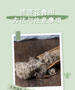 家里阳光不足怎么养花，选对植物种类，掌握养护技巧