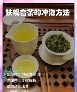 家里阳光不足怎么养花，选对植物种类，掌握养护技巧