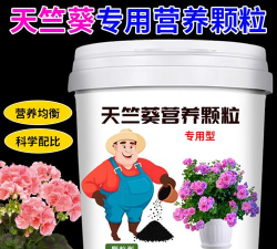 家里阳光不足怎么养花，选对植物种类，掌握养护技巧