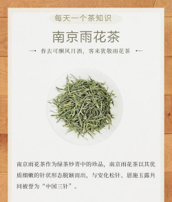 家里阳光不足怎么养花，选对植物种类，掌握养护技巧