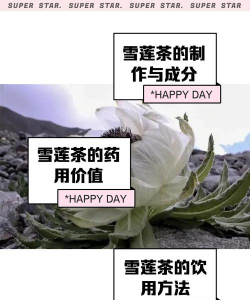 家里阳光不足怎么养花，选对植物种类，掌握养护技巧