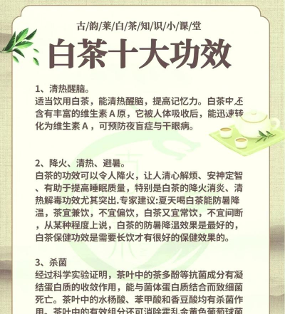 家里阳光不足怎么养花，选对植物种类，掌握养护技巧
