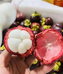 小众送妈妈的花有哪些花