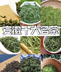 家里阳光不足怎么养花，选对植物种类，掌握养护技巧