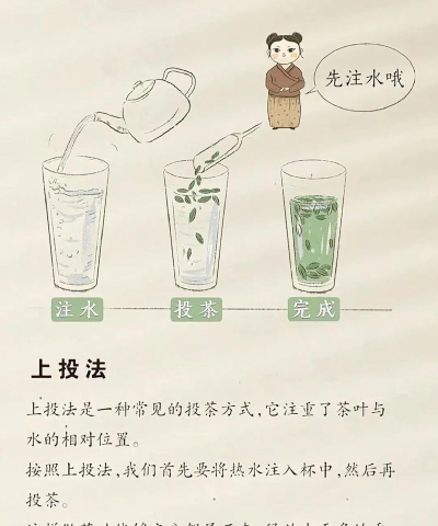 家里阳光不足怎么养花，选对植物种类，掌握养护技巧