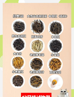 家里阳光不足怎么养花，选对植物种类，掌握养护技巧