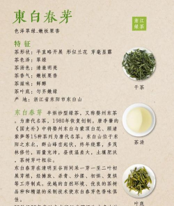 家里阳光不足怎么养花，选对植物种类，掌握养护技巧