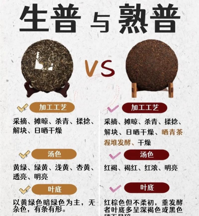 家里阳光不足怎么养花，选对植物种类，掌握养护技巧