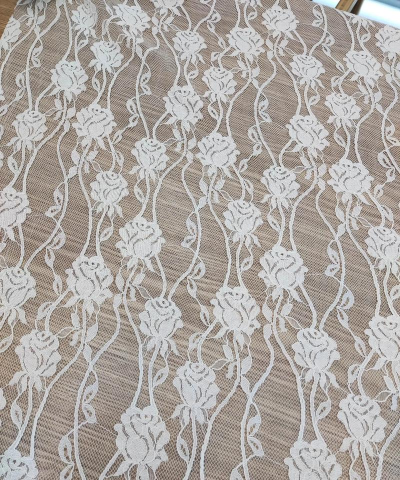 家里阳光不足怎么养花，选对植物种类，掌握养护技巧