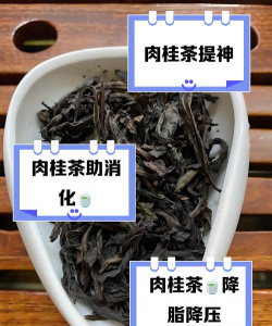 家里阳光不足怎么养花，选对植物种类，掌握养护技巧