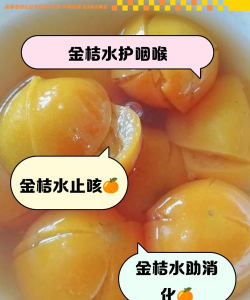 家里阳光不足怎么养花，选对植物种类，掌握养护技巧