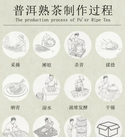 家里阳光不足怎么养花，选对植物种类，掌握养护技巧