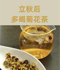 家里阳光不足怎么养花，选对植物种类，掌握养护技巧